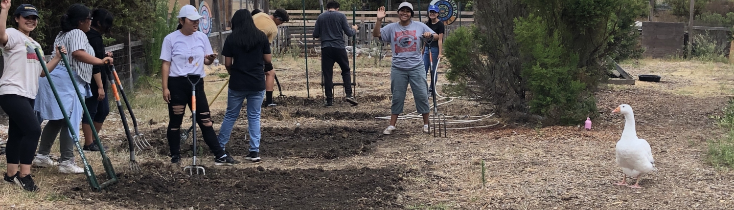 Youth participant tiling soil at farm program at Sotomayor Learning Complex