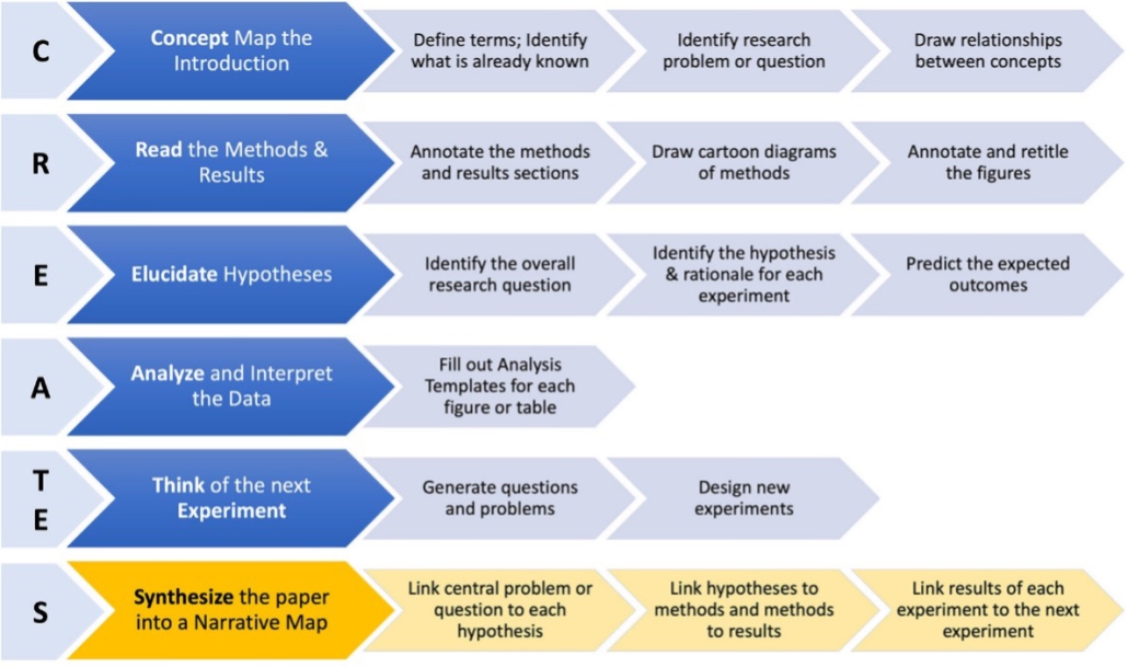 The adapted CREATE(S) Process