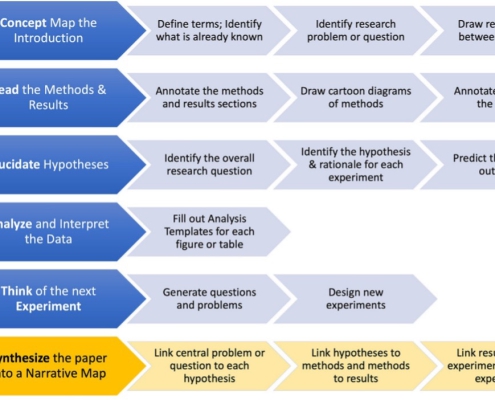 The adapted CREATE(S) Process