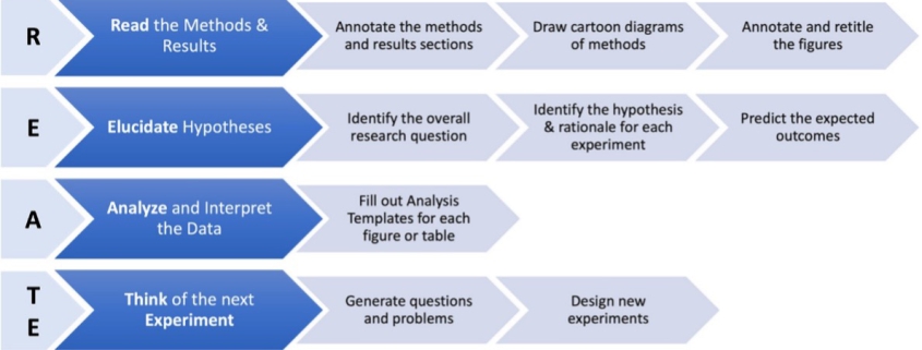 The adapted CREATE(S) Process