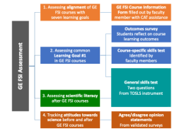 GE FSI Framework